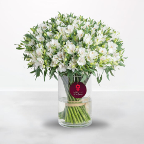 White Alstroemeria - 30 Stems