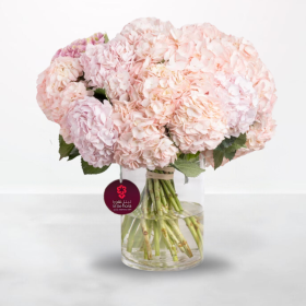 Pink Hydrangea - 20 stems