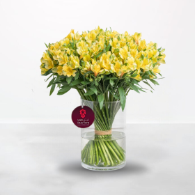 Yellow Alstroemeria - 30 Stems