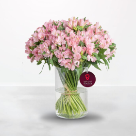 Pink Alstroemeria - 30 Stems